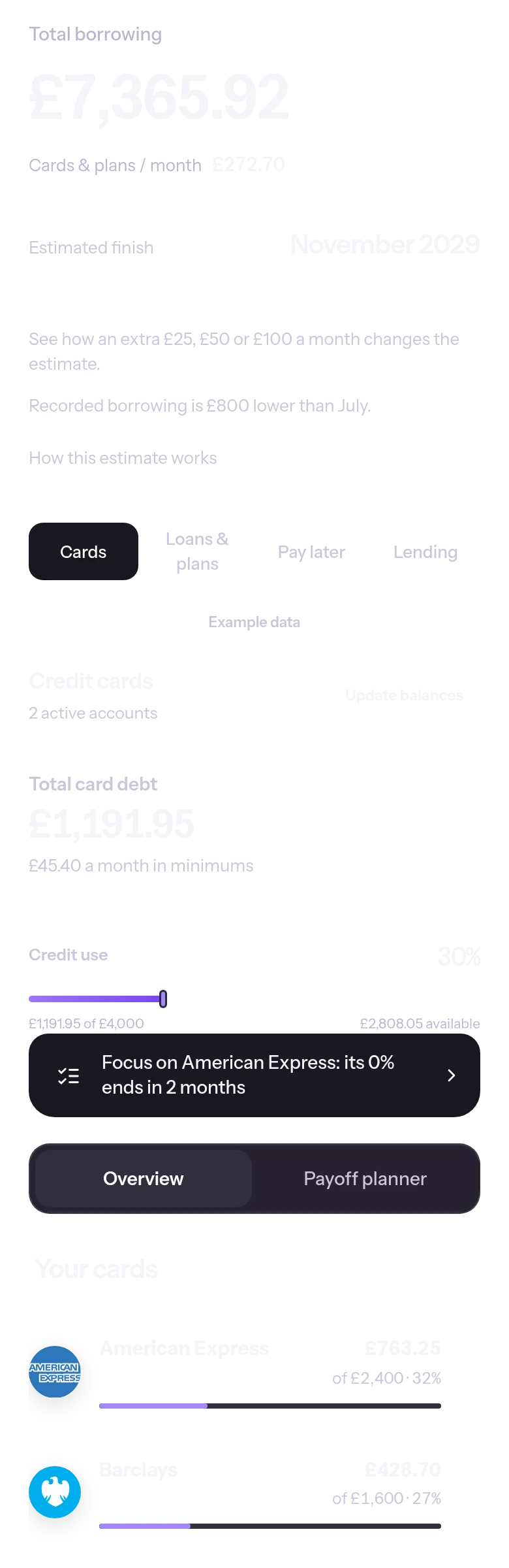 Borrowing screen: total borrowing, card balances and credit use
